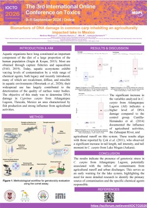 POSTER  DIGITAL PMM IOCTO 2026.pdf